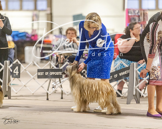 20230401-DSC08135