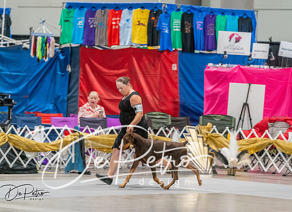 20260926-DSC04958