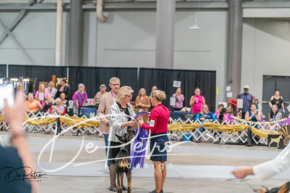 20260927-DSC05264
