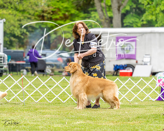20230427-DSC03967