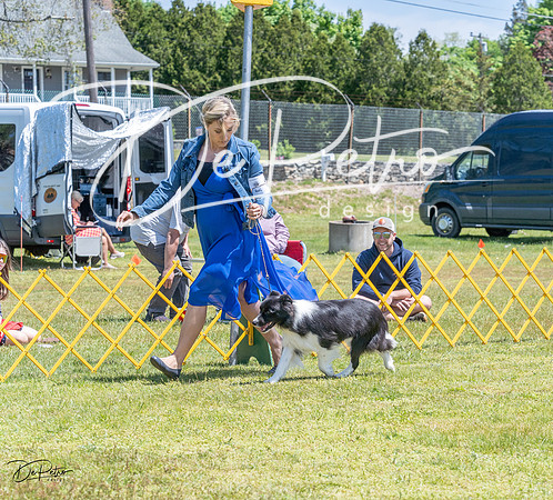 20230514-DSC04739