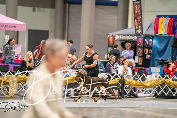 20260926-DSC04713