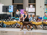 20260926-DSC03997