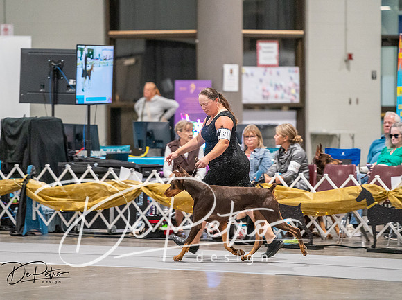 20260926-DSC03997