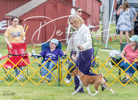 20230512-DSC03736