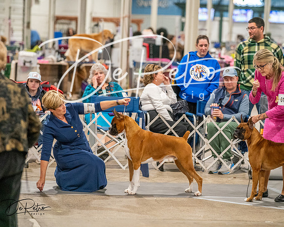 20261022-DSC02103