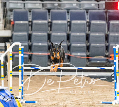 20260929-DSC06577