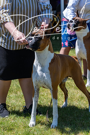 20230514-DSC04587