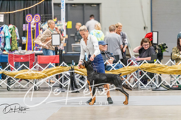 20260930-DSC06966