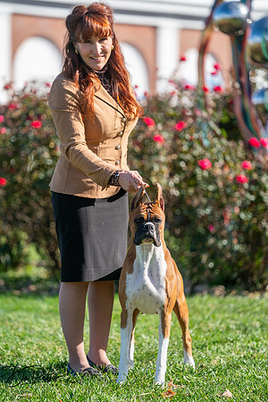 20261024-DSC01062