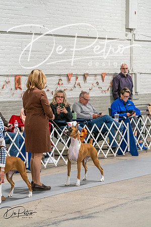 20261023-DSC04986