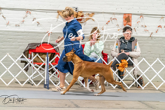 20261022-DSC00412