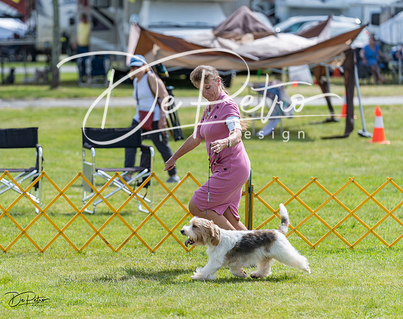 20230513-DSC09668