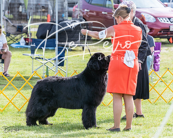 20230513-DSC00970