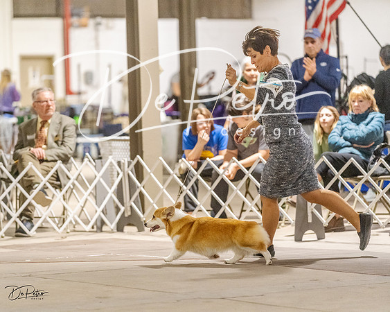20230401-DSC08071