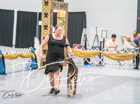 20260926-DSC04063