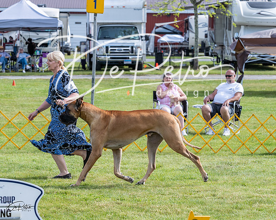 20230513-DSC00748