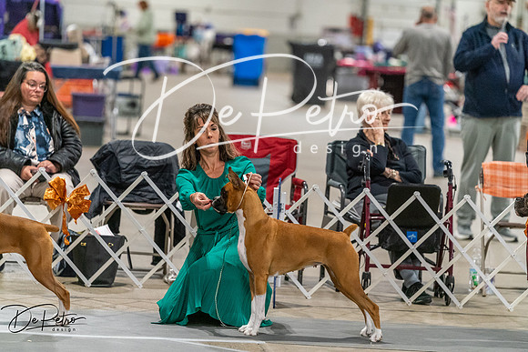20261023-DSC05780