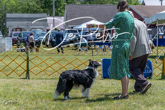 20230514-DSC04987