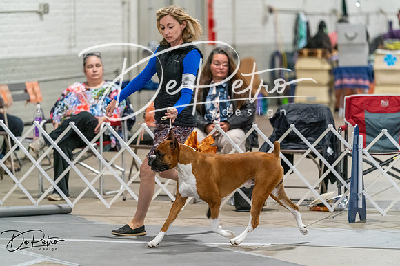 20261023-DSC05584