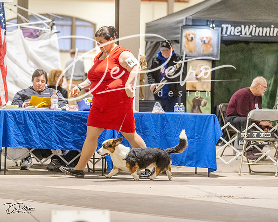 20230401-DSC08113