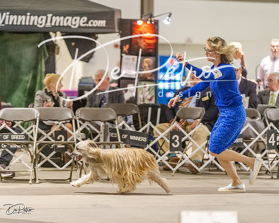 20230401-DSC07994
