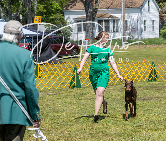 20230512-DSC02890