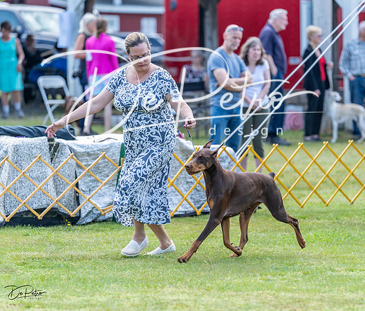 20230513-DSC08981