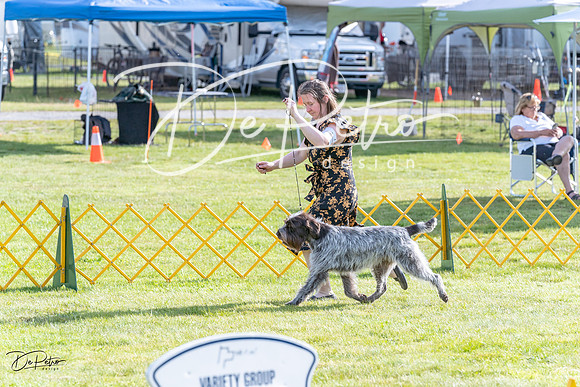 20230513-DSC01937