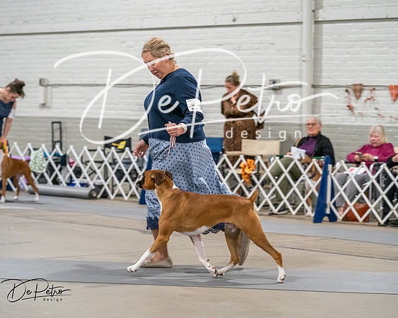 20261022-DSC03024