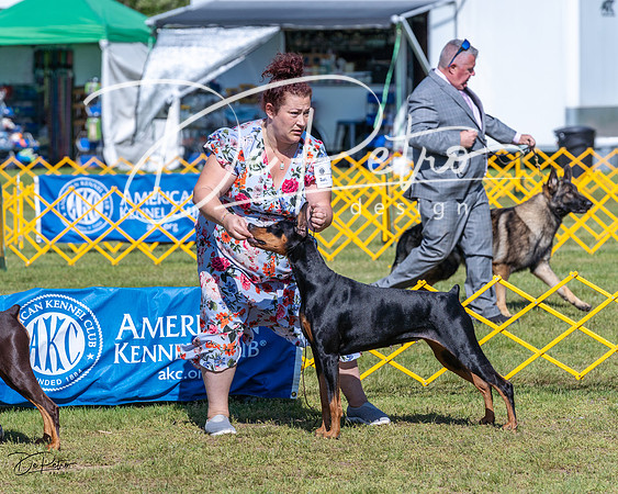 20230514-DSC02906