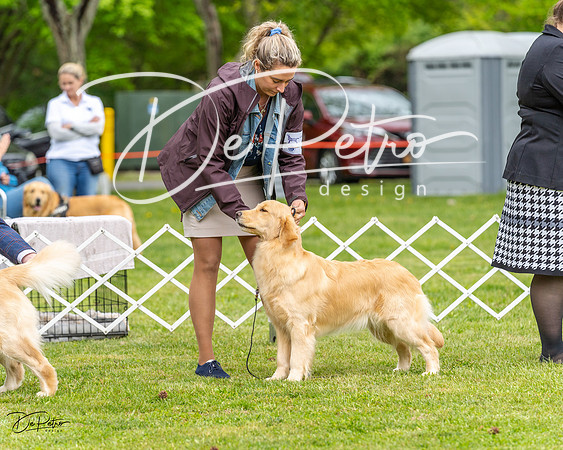 20230427-DSC03695