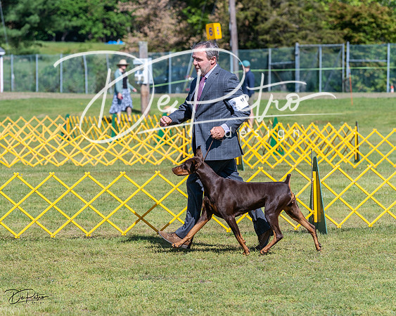 20230514-DSC03370