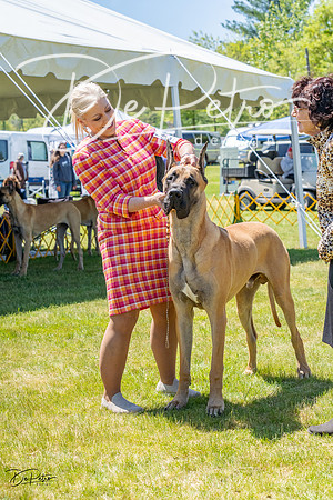 20230514-DSC07883