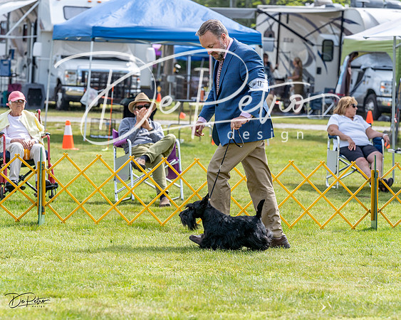 20230513-DSC00075