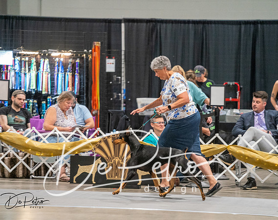 20260926-DSC04628