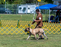 20230514-DSC03605