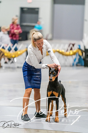 20260930-DSC06766