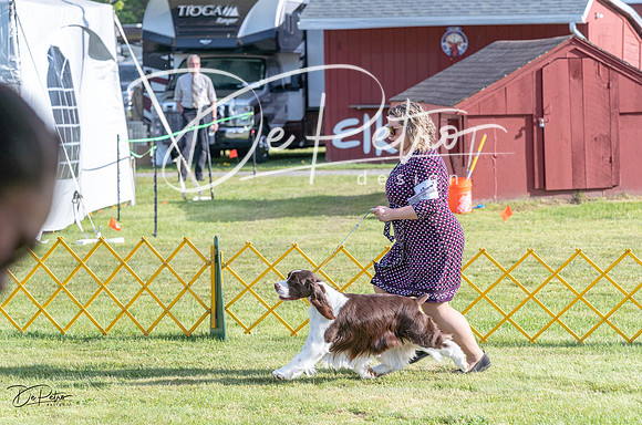 20230513-DSC02204