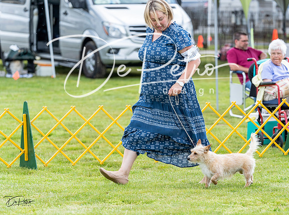 20230512-DSC03827