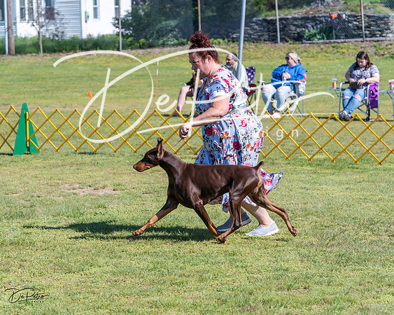20230514-DSC03148