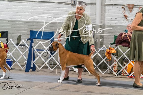 20261023-DSC05733