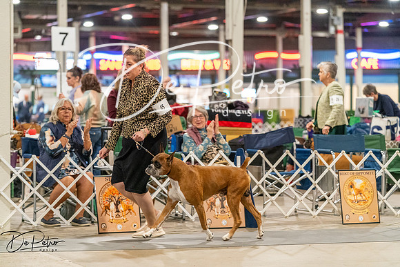 20261023-DSC05357