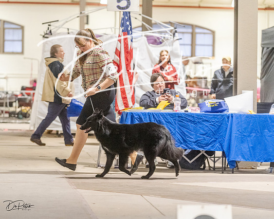 20230401-DSC07820