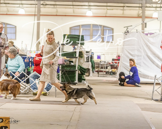 20230401-DSC08066