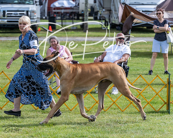 20230513-DSC00765