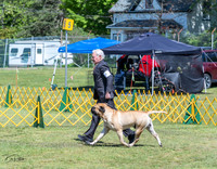 20230514-DSC03581