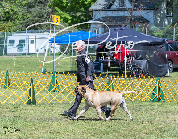 20230514-DSC03581