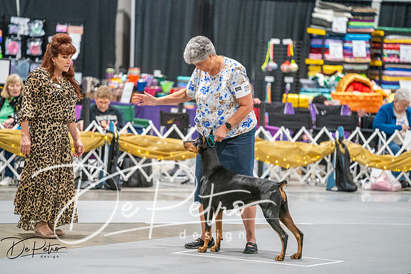 20260926-DSC04589