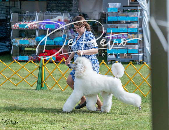 20230513-DSC00319